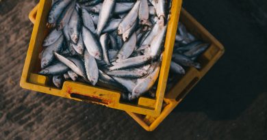 consumo di pesce