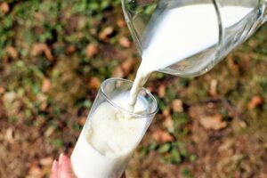 effetti del latte vegetale sulla massa muscolare 