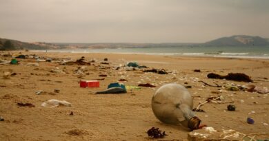 rifiuti in spiaggia